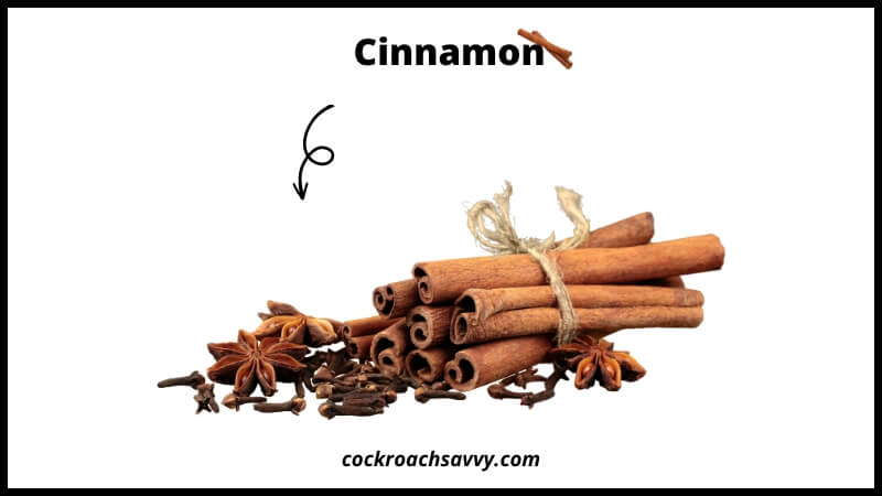 Cinnamon - Natural Cockroach Repellent