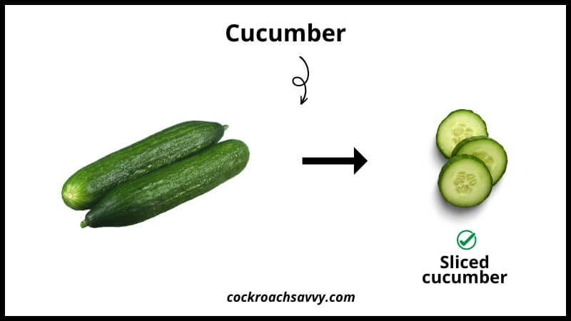 Cucumber smell repel roaches