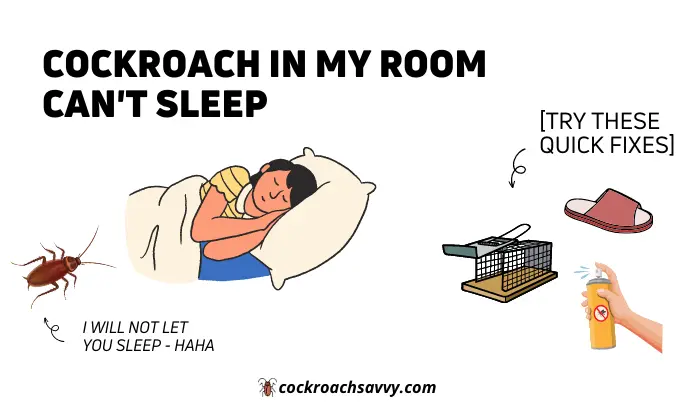 Cockroach in My Room Can't Sleep