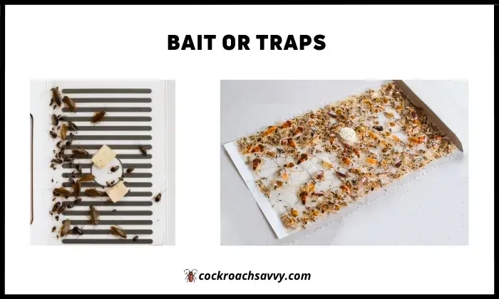 Bait or Traps