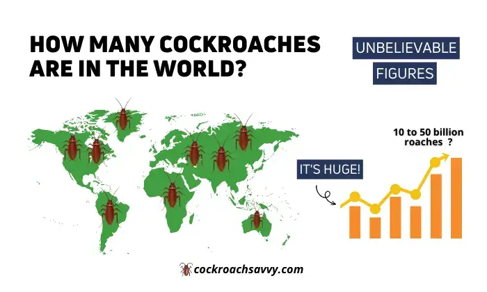 How Many Cockroaches Are in The World