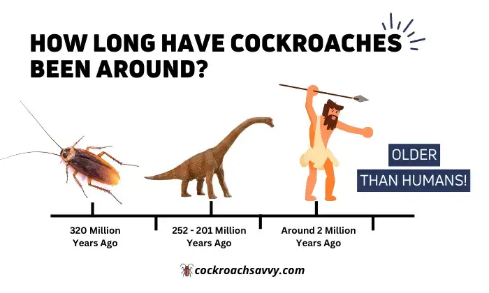 How long have Cockroaches Been Around