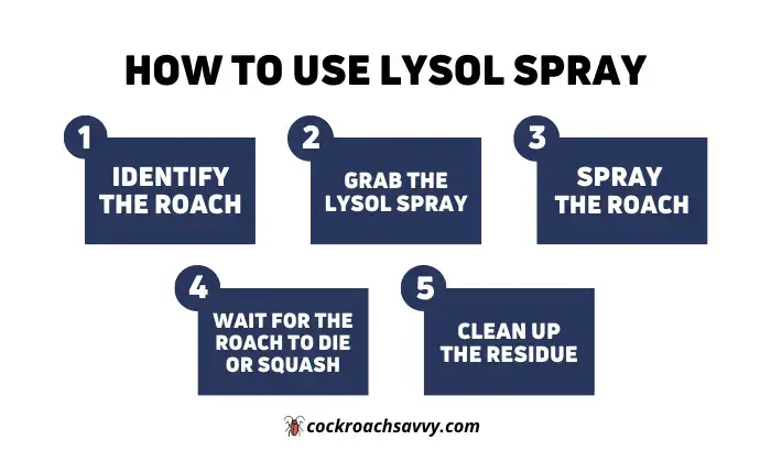 How to use Lysol spray