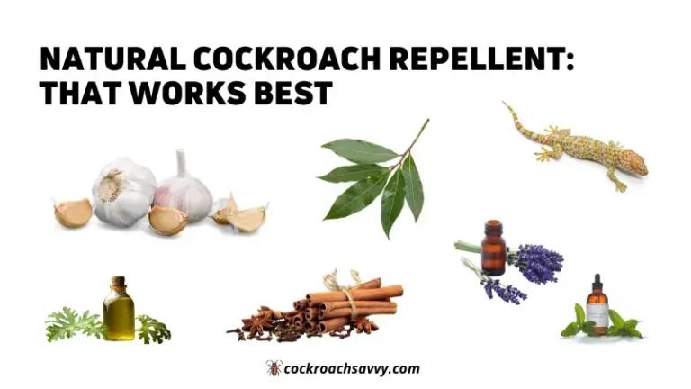 Natural Cockroach Repellent