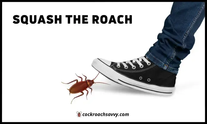 Squash the roach