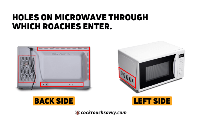 Holes on Microwave Through Which Roaches Enter - Back Side