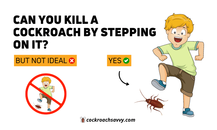 Can you kill a cockroach by stepping on it