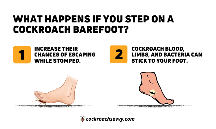 What happens if you step on a cockroach barefoot