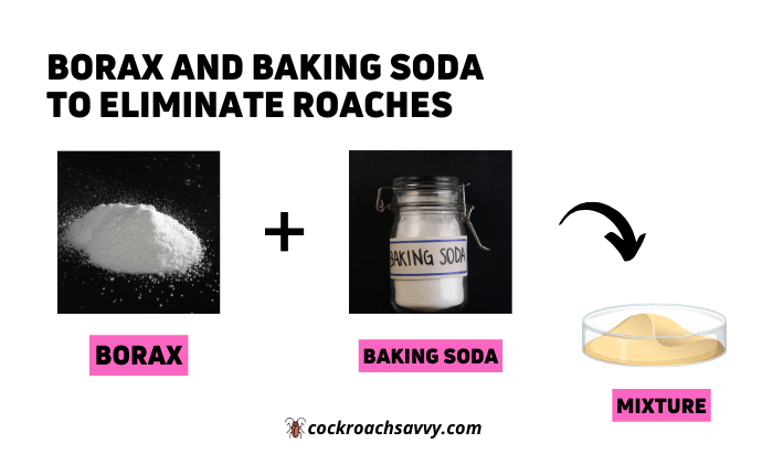 Borax and Baking Soda to Eliminate Roaches