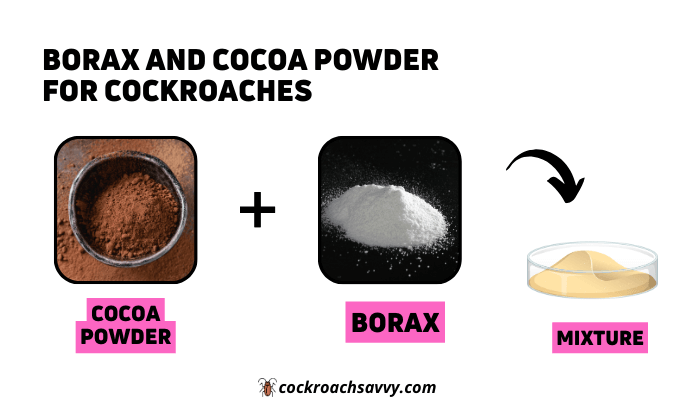 Borax and Cocoa Powder for Cockroaches