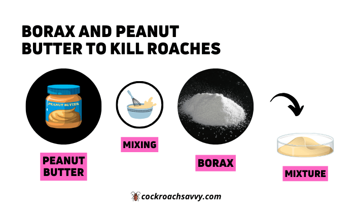 Borax and Peanut Butter to Kill Roaches