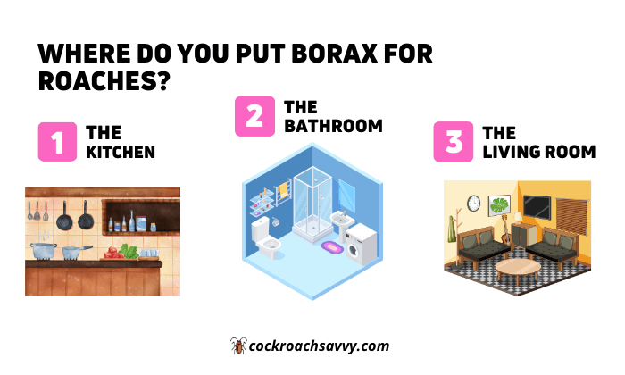 Where Do You Put Borax for Roaches