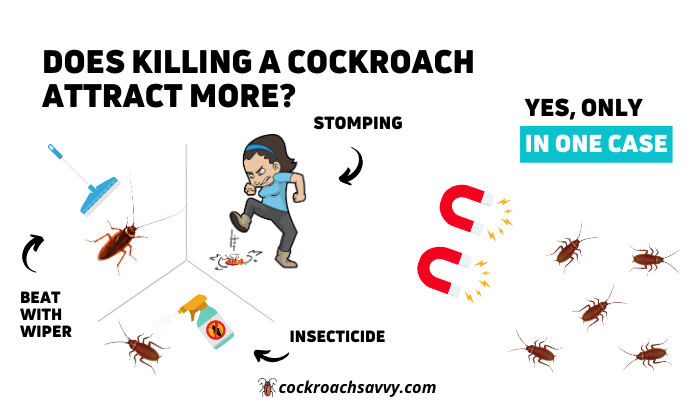 featured image of article entitled "Does Killing a Cockroach Attract More"